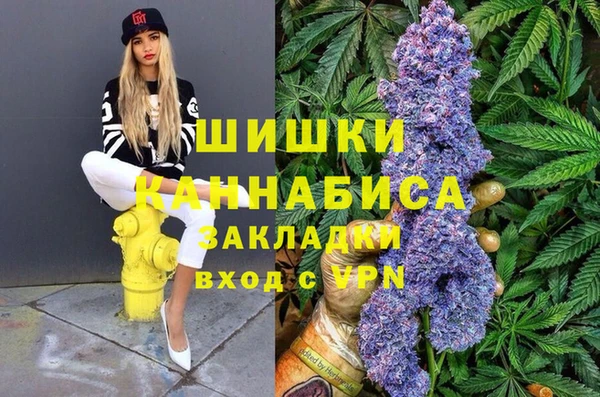 Альфа ПВП Алексин