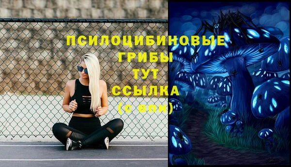 тгк Арсеньев