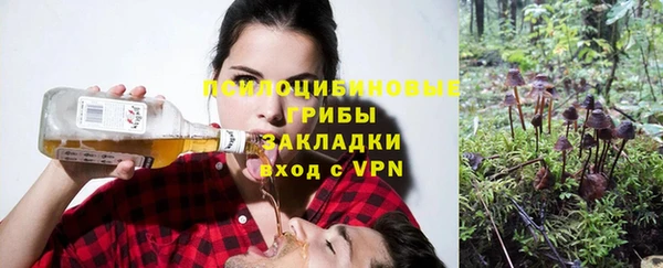 Альфа ПВП Алексин