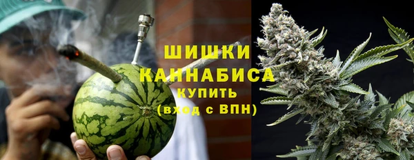 тгк Арсеньев