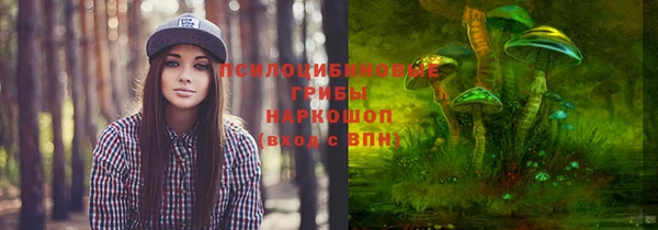 тгк Арсеньев