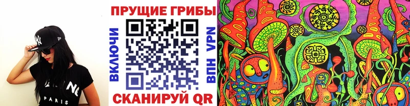 Купить закладки  Холм  Псилоцибиновые грибы мицелий 